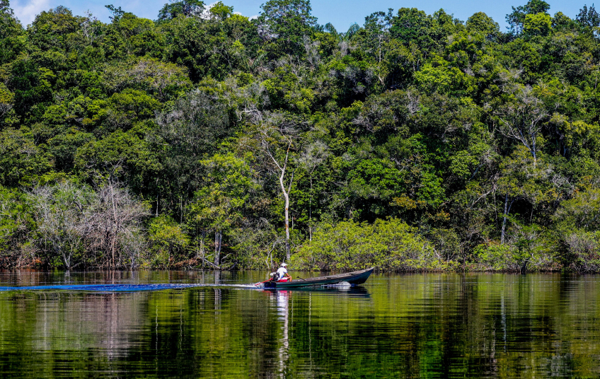Amazônia concentra 48,2% dos processos de minerais críticos e estratégicos